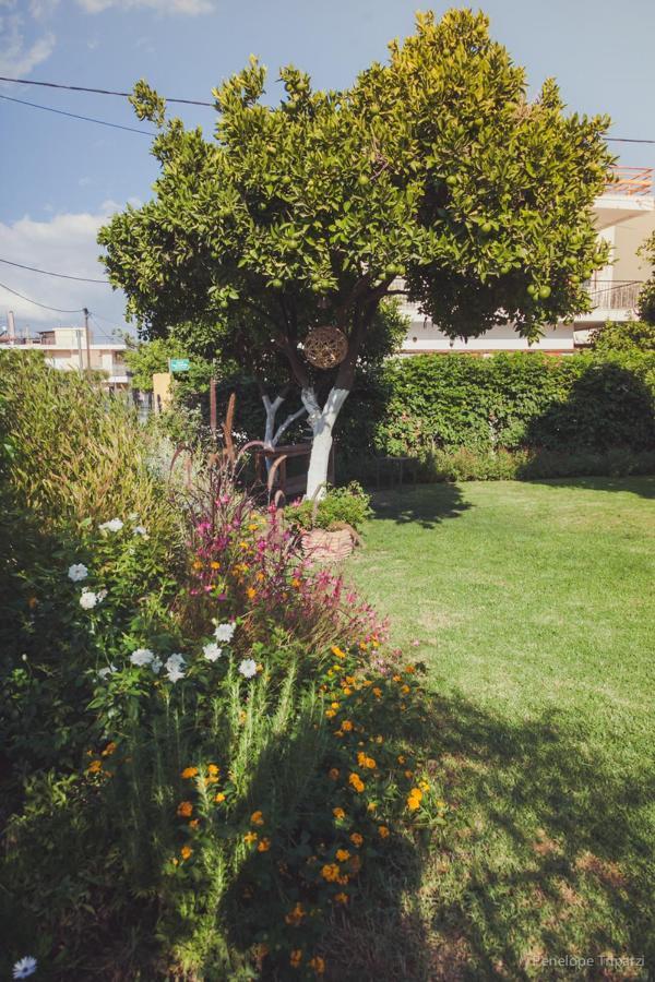 Small Guesthouse In The Garden Амаринтос Екстериор снимка